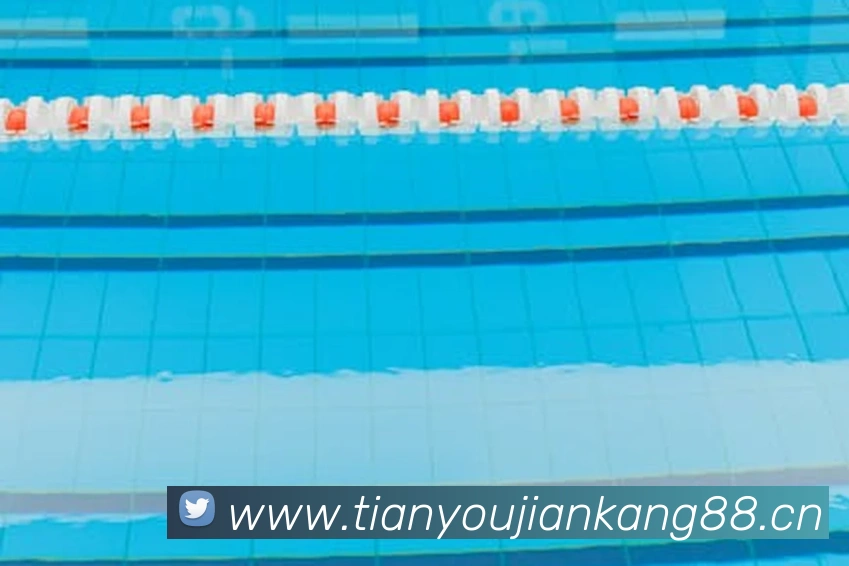 九游j9官网进入服务体系